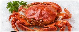 Kepiting