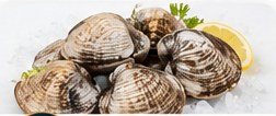 Kerang