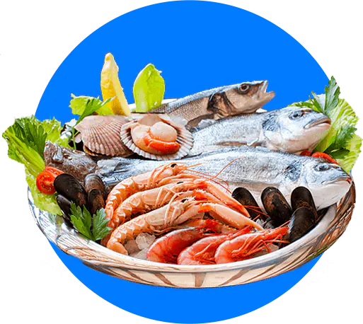 Sea Food