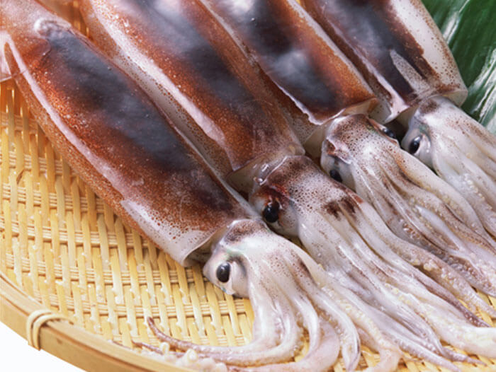 illex squid for sale in malaysia